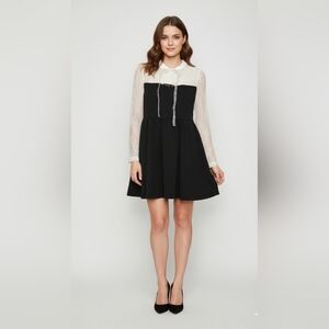 NWT Black/White Lace Sleeve Skater Dress Sz 6